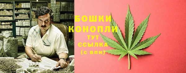 PSILOCYBIN Сафоново