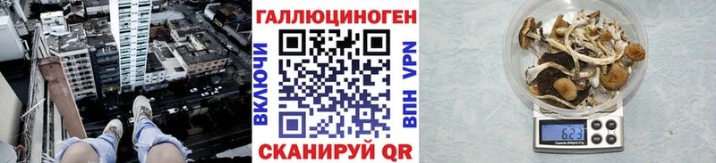 Псилоцибиновые грибы Magic Shrooms  Троицк 